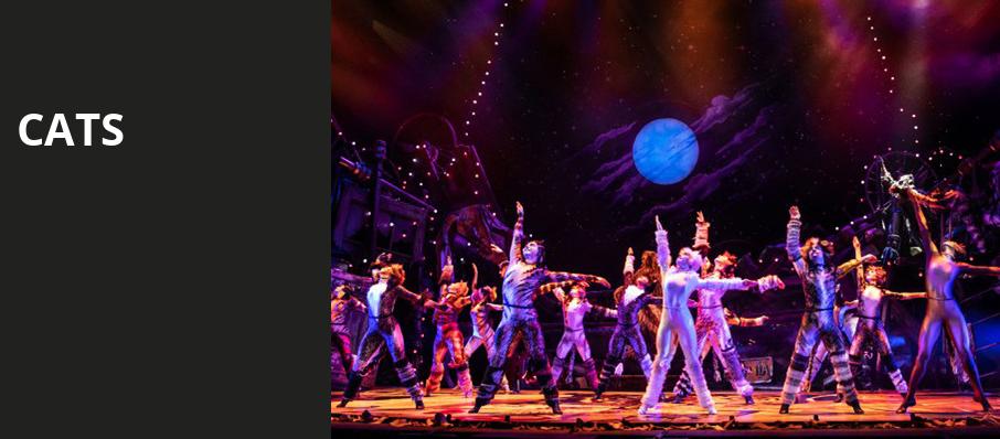 Cats, Morris Performing Arts Center, South Bend
